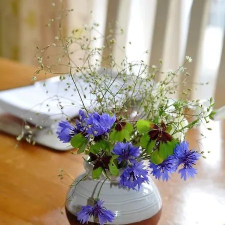 Wisteria House B&B