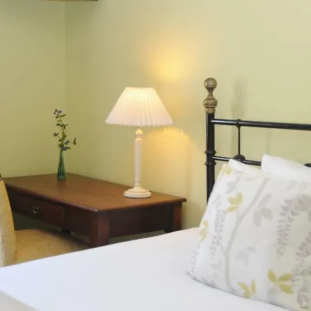 Bed & Breakfast Wisteria House B&B Cloyne